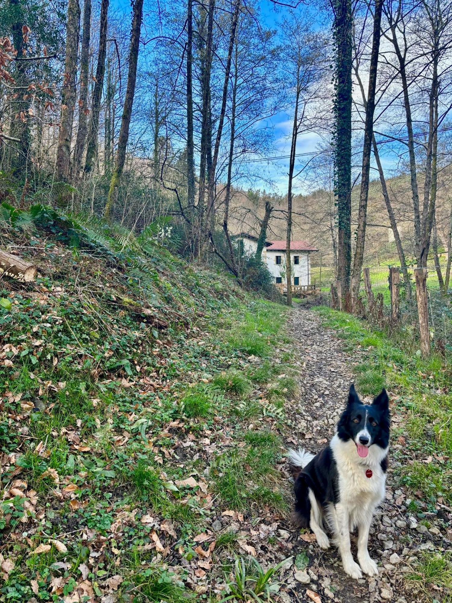 Passivhaus Kostoenea *